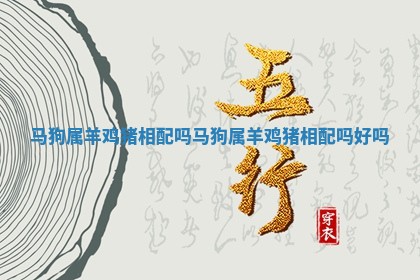 马狗属羊鸡猪相配吗 马狗属羊鸡猪相配吗好吗